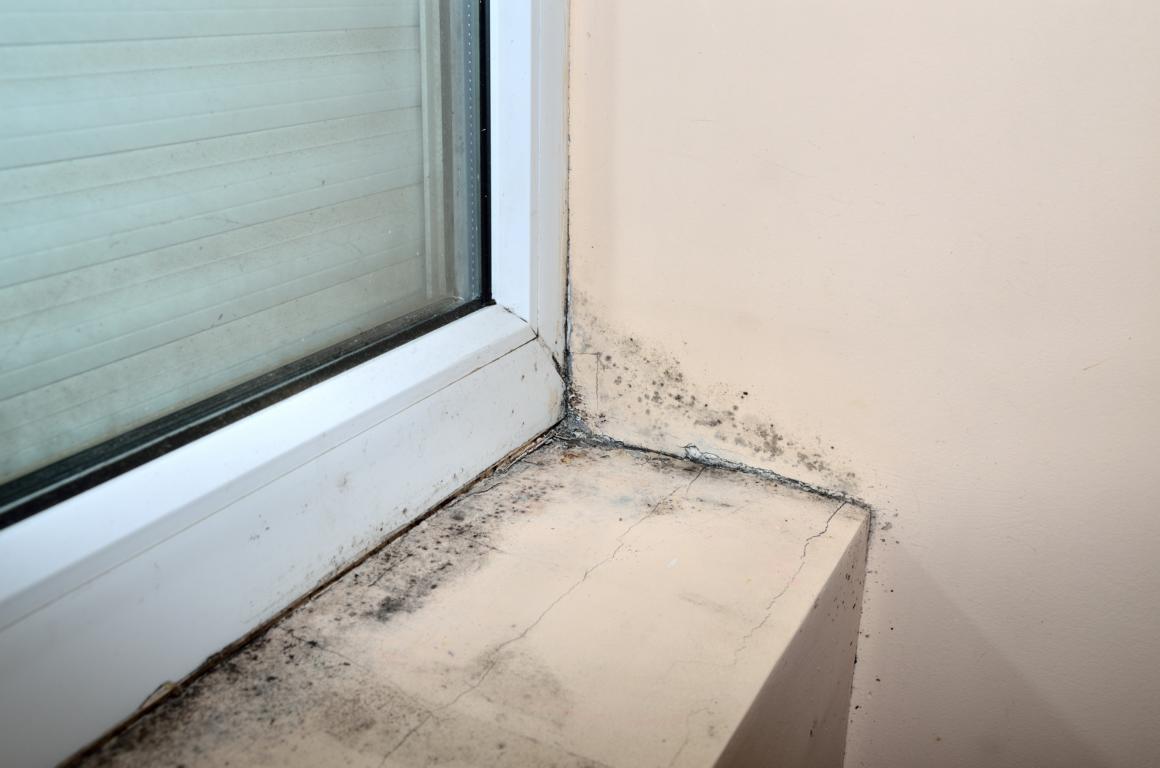 Schimmel breitet sich vom Fenster aus aus Schimmel breitet sich vom Fenster aus aus